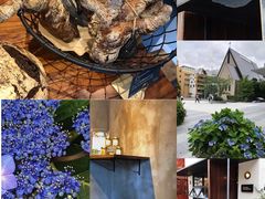 -Pain des Philosophes