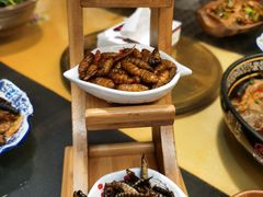 -昆虫窝子·特色云南菜(拓东路总店)
