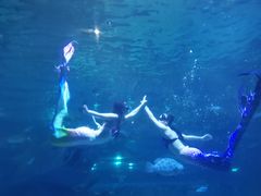 -福州罗源湾海洋世界旅游区