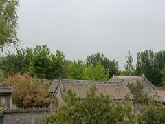 -护国天仙圣母庙