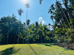 -中国科学院西双版纳热带植物园