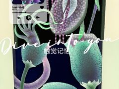 -胶囊画廊