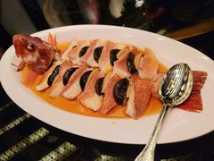 清蒸东星斑-北京四季酒店·采逸轩