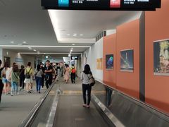 -中部国际机场