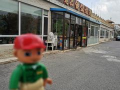 -王老六铁锅炖鱼(大东沟总店)