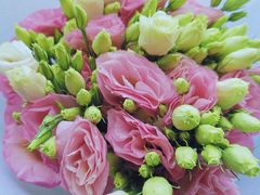 -双季花艺园艺市场(浦东店)