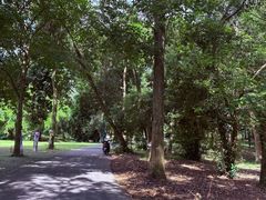 -南宁良凤江国家森林公园