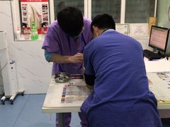 -伟伟宠物医院·CT影像中心·瑞派犬猫综合性门诊(汉口总院)