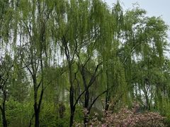-城市运动公园(未央区)