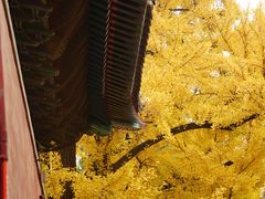 -红螺寺