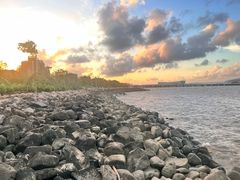 -吴淞炮台湾湿地森林公园烧烤区