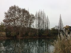 -贵阳市花溪国家城市湿地公园