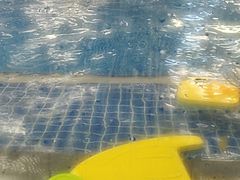 -蓝旗亲子游泳(范湖万达广场店)