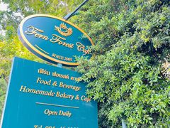 -Fern Forest Cafe