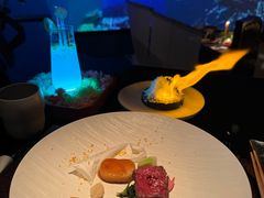 -地球美食剧场