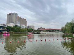 -雁滩公园