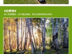 -呼伦贝尔大草原