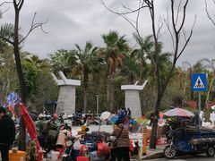 -聚龙山公园
