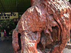 -绿光森林餐厅