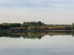 -大兴滨河森林公园