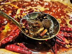 -王婆乔鲜鱼自助火锅(蜀汉路店)