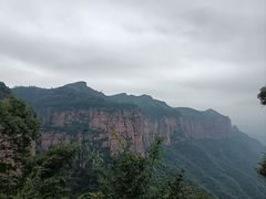 -雾与山茶(大禹城店)