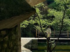 -少华山国家森林公园