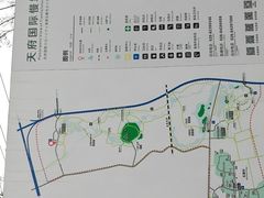 -桤木河湿地公园