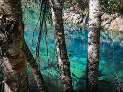 -叠溪松坪沟景区