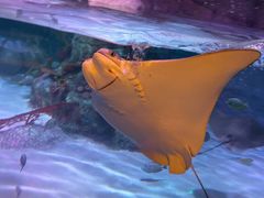 -沈阳海洋探索中心