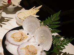 -汤城·料青山
