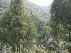 -西泰山风景区