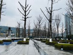 -两江幸福广场