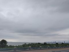 -合肥滨湖国家森林公园