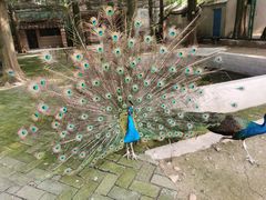 -南京金牛湖风景区