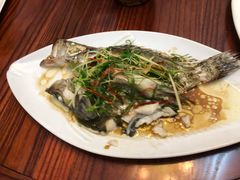 -吴祥记潮州菜·百年老字号·砂锅粥