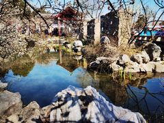 -香雪海