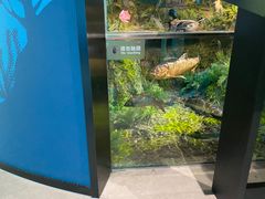 -诸暨博物馆