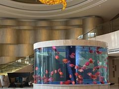 -杭州和达希尔顿逸林酒店·和园中餐厅-杭帮菜名店