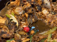 -老板恋上鱼(恒隆广场店)