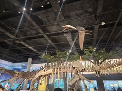 -国家自然博物馆