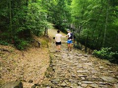 -仙霞关景区