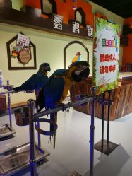 -未来动物城动物主题公园(大悦城店)