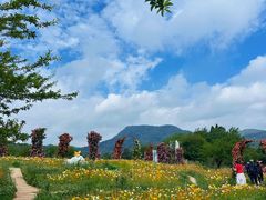-名花谷生态庄园