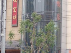 -便宜坊烤鸭店(甜水园店)