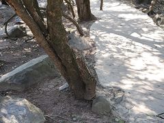 -昆明青龙峡风景区