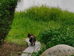-后襄河公园