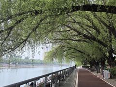 -沙澧河风景区