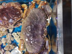-盒马鲜生(岭南新世界店)