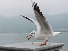 -昆明洲际酒店